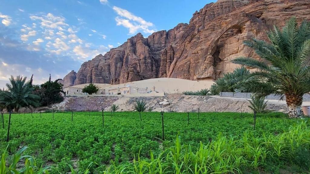 الجوهرة Diamond Plus Villa Al-Ula Kültér fotó